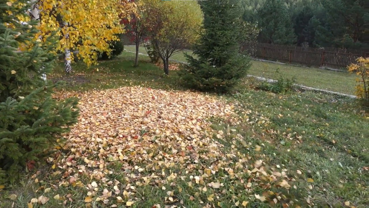https://nalchik.mslandshaft.ru/storage/app/uploads/public/642/ac5/f22/642ac5f2293e2935715739.jpg